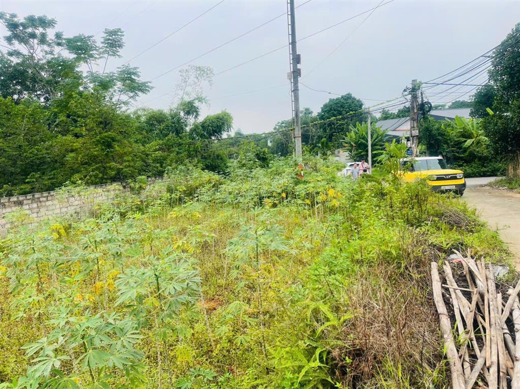 Vị trí cực đẹp lô góc 2 mặt tiền đất phường sổ đỏ hà nội chính chủ  giá đầu tư