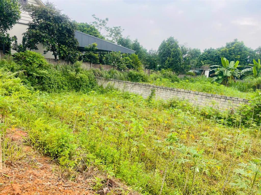 Vị trí cực đẹp lô góc 2 mặt tiền đất phường sổ đỏ hà nội chính chủ  giá đầu tư