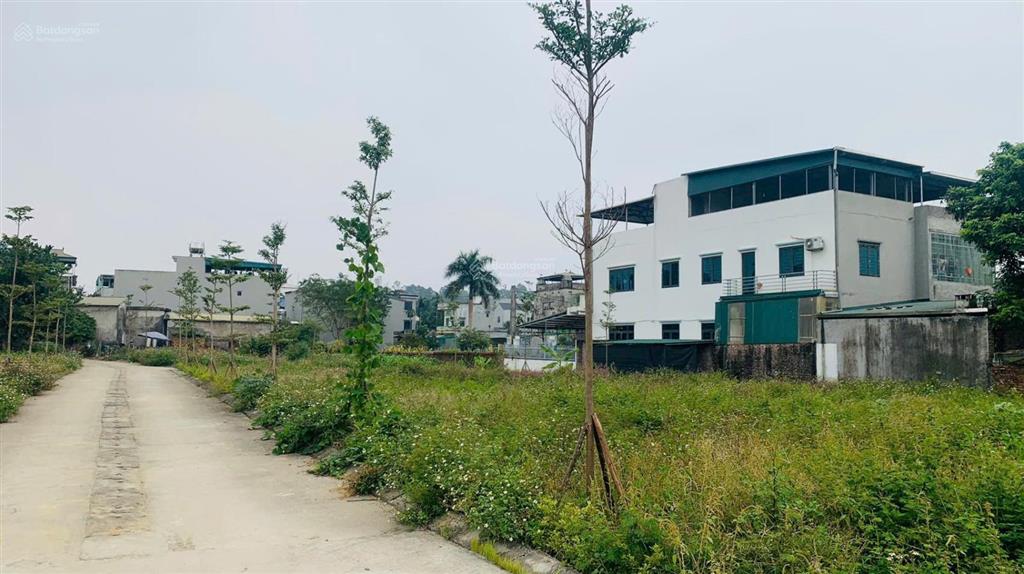 Bán gấp đất nền tại xóm miễu, tiến xuân, thạch thất, 42 triệu / m2, 100m2