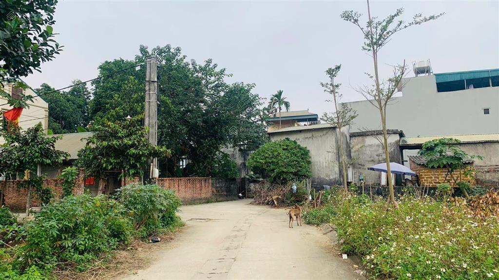 Bán gấp đất nền tại xóm miễu, tiến xuân, thạch thất, 42 triệu / m2, 100m2