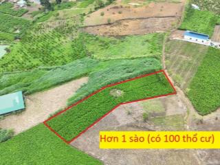450 triệu 1057m2 có 100m2 thổ cư, đinh lạc, di linh cách quốc lộ 20 2.5km