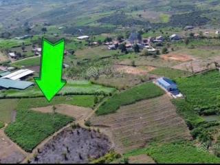 Bán đất đinh lạc di linh | cách ql20 chỉ 2.5km 1 sảo có 100 thổ cư giá 450 triệu