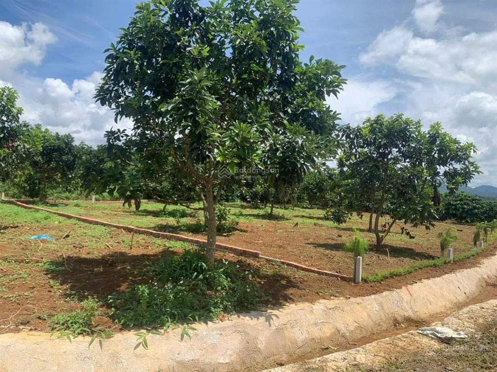 Đất bảo lâm mặt tiền đường liên thôn bán cắt lỗ chỉ 650 triệu/100m2 có thổ cư