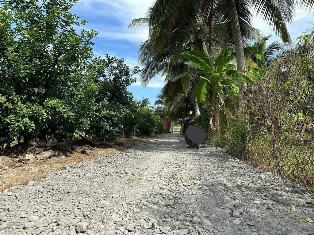 Bán đất ấp thạnh hòa, long hưng, châu thành, tiền giang. 17,6m x 28,4m= 500m, đường ôtô 2,7m, 920tr