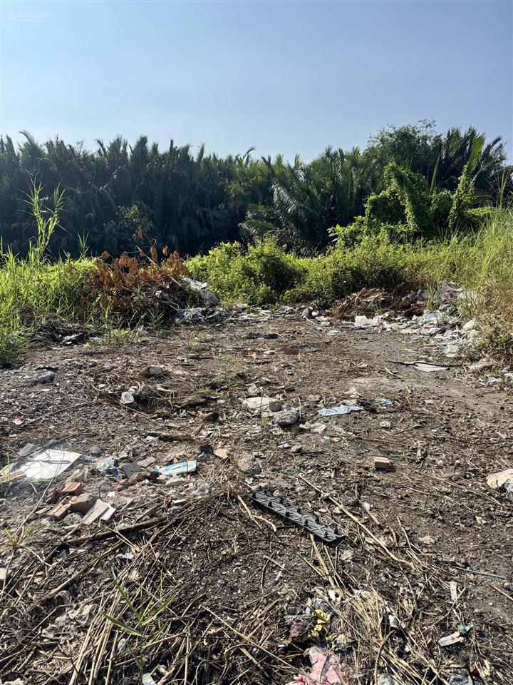 Chính chủ gửi bán lô đất khu vực dự án sài gòn chợ lớn đường 5 phường 7 q8.