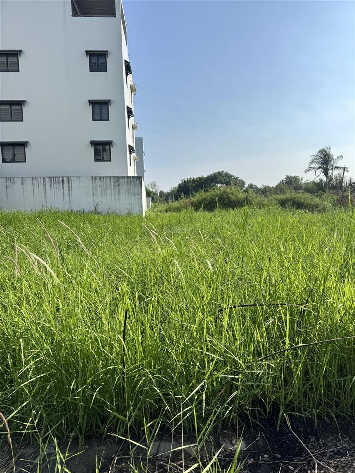 Chính chủ gửi bán lô đất khu vực dự án sài gòn chợ lớn đường 5 phường 7 q8.