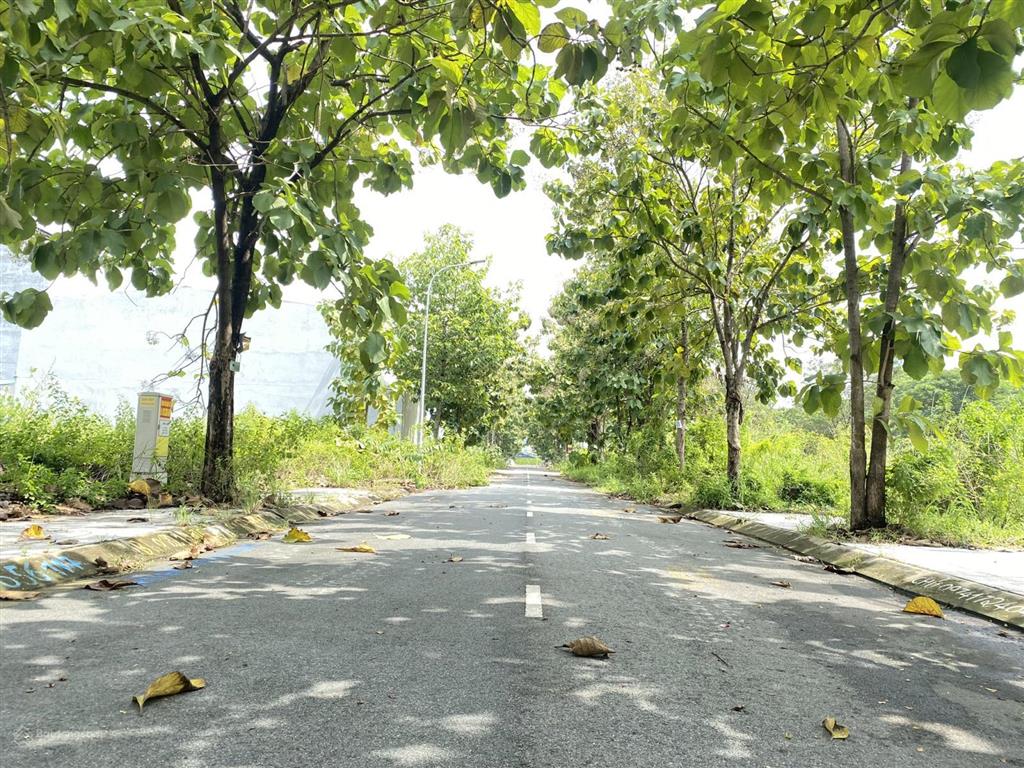 Bán lô sổ đỏ, khu c206, 8x20m, đường 12m giá chỉ 60 tr/m2 gần trường đại học umt