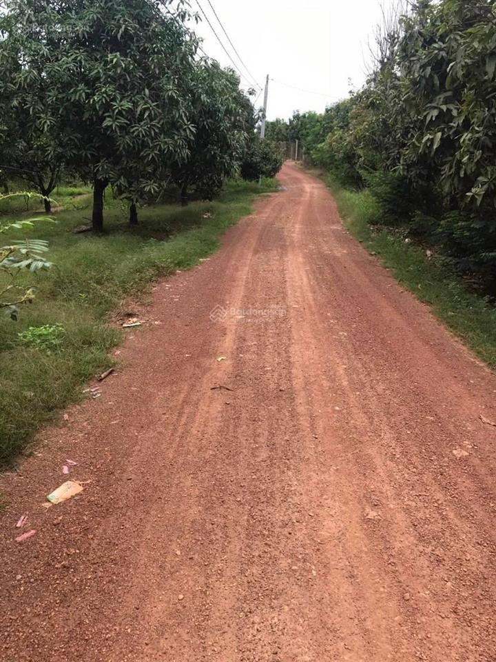 Chỉ 3,9 tỷ sở hữu ngay 45,000m2(4ha5) vườn sầu riêng đang cho cho thu hoạch + nhà cấp 4