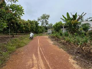 Bán đất ngọc định, định quán, đồng nai, 5,5 tỷ, 35000 m2 (3ha5) đất bằng đẹp sổ hồng đầy đủ