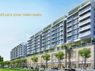 Shophouse sarica, dtsd 264m2, giá thuê 80 triệu/1tháng