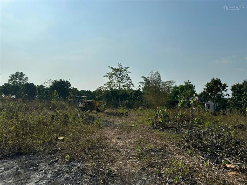 Tôi cần bán mảnh đất ở xã ngọc định  định quán  đồng nai dt 1.375m giá 1 tỷ 8 còn tl0906 768 ***