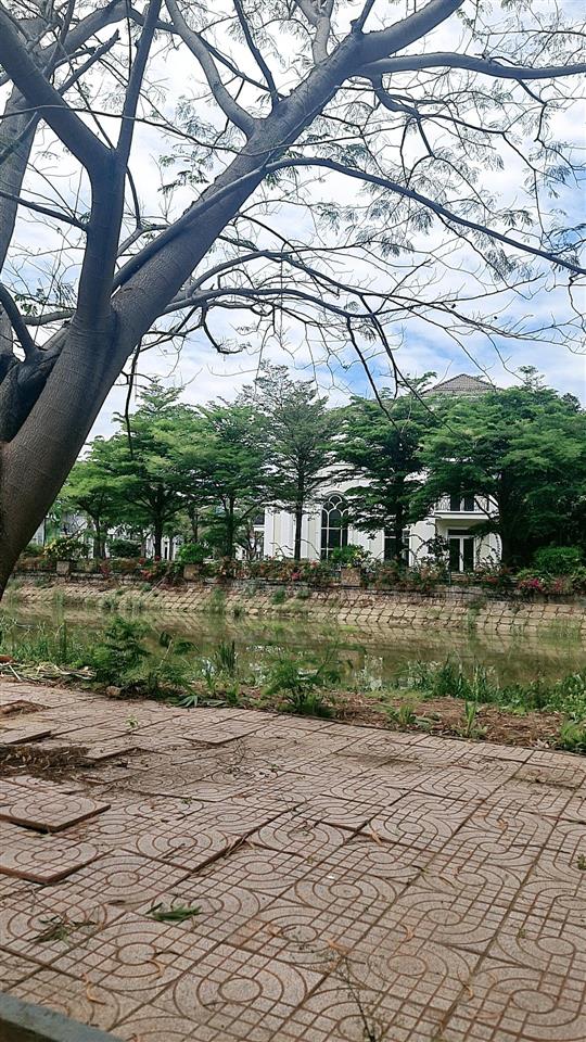 Em chủ đất cần bán 2 lô đất dự án bách khoa trục chính 711 giá đầu tư