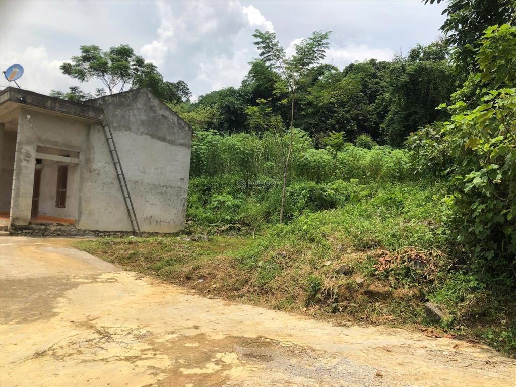 Bán đất 495m2 full tc tại xã lạc lương, yên thủy, hòa bình, giá tốt, uy tín