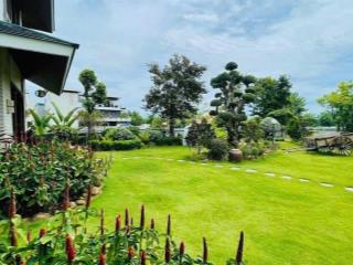 Biệt thự khu đảo nổi, khuê trung  cẩm lệ  phong cách nhật bản, tọa lạc trên mảnh đất 4 mt