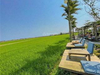 Đất mt đường lý thái tổ , view lúa . hội an
 dt 193m2 ngang 6m5