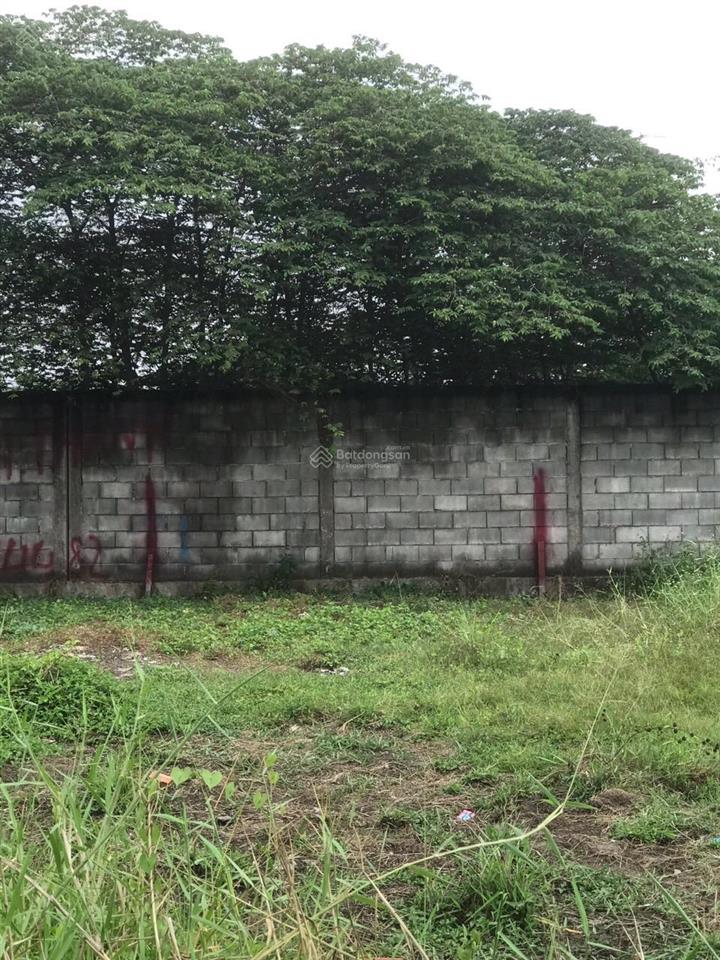 Bán lô đất xã mỹ yên huyện bến lức tỉnh tây ninh (tỉnh long an cũ)