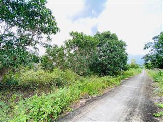 Cơ hội sở hữu suất tái định cư vip tại đại đô thị cam lâm do tập đoàn vingroup triển khai