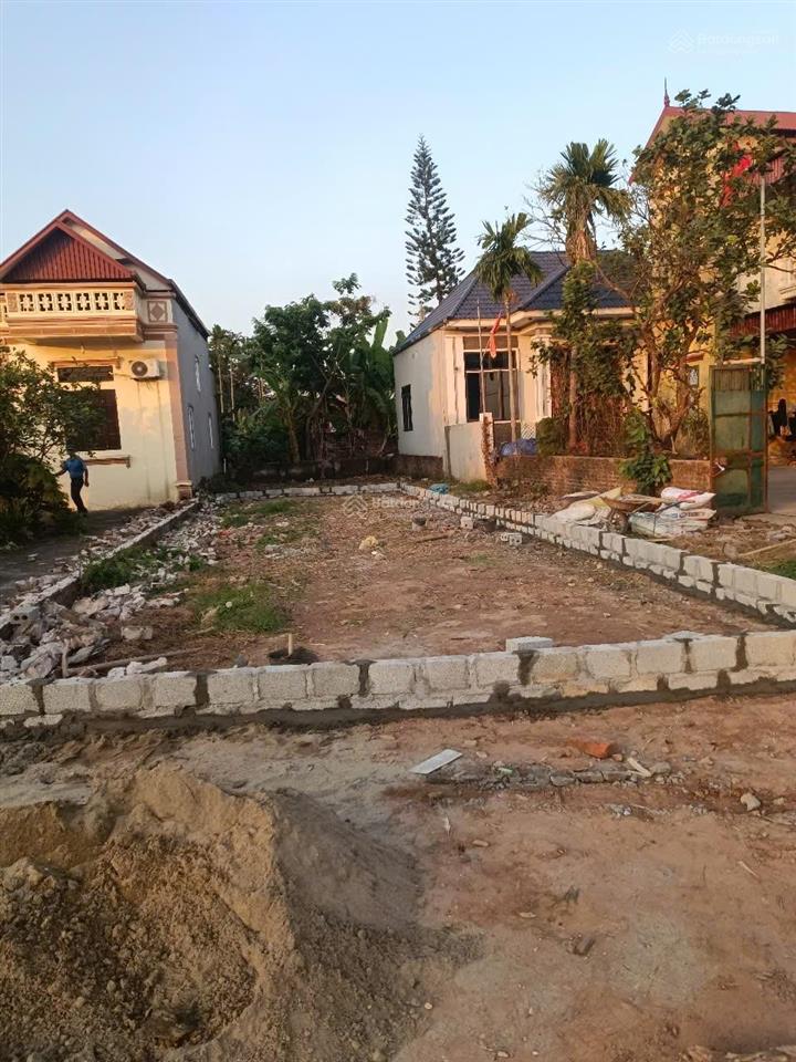 Bán đất liên nghĩa văn giang mt 5.6m, 3 mặt thoáng, sát khu đấu giá
