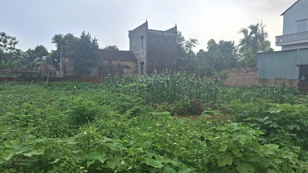 Bán đất đẹp xã tân minh sóc sơn, hà nội đường ô tô tránh, giá chỉ 2.6 tỷ