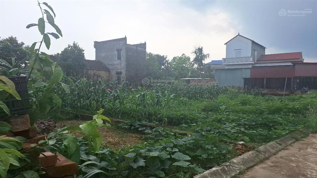 Bán đất đẹp xã tân minh sóc sơn, hà nội đường ô tô tránh, giá chỉ 2.6 tỷ