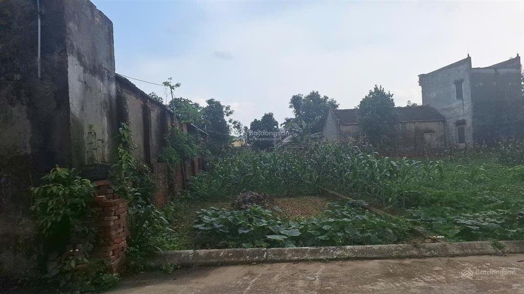 Bán đất đẹp xã tân minh sóc sơn, hà nội đường ô tô tránh, giá chỉ 2.6 tỷ