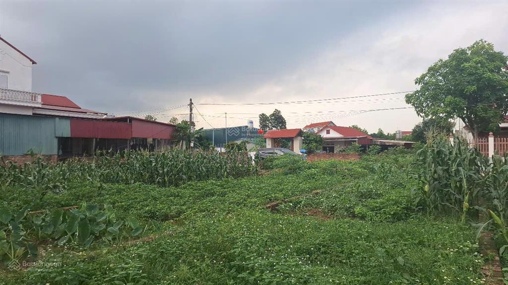 Bán đất đẹp xã tân minh sóc sơn, hà nội đường ô tô tránh, giá chỉ 2.6 tỷ