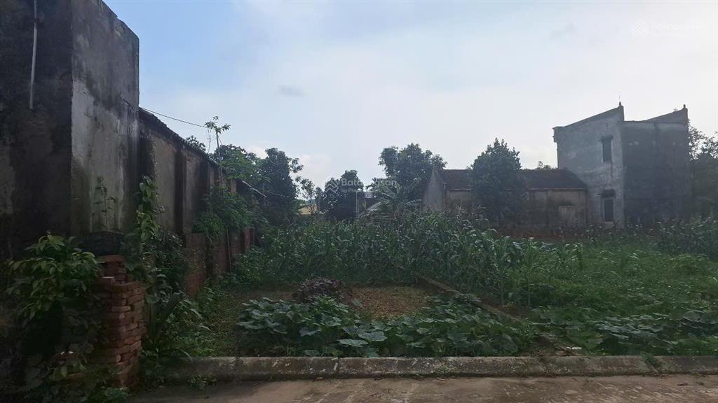 Bán đất đẹp xã tân minh sóc sơn, hà nội đường ô tô tránh, giá chỉ 2.6 tỷ