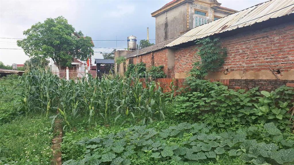 Bán đất đẹp xã tân minh sóc sơn, hà nội đường ô tô tránh, giá chỉ 2.6 tỷ