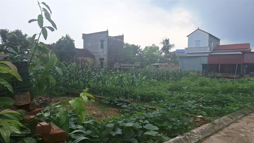 Bán đất đẹp xã tân minh sóc sơn, hà nội đường ô tô tránh, giá chỉ 2.6 tỷ