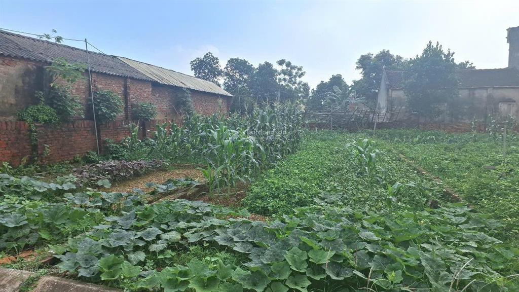 Bán đất đẹp xã tân minh sóc sơn, hà nội đường ô tô tránh, giá chỉ 2.6 tỷ