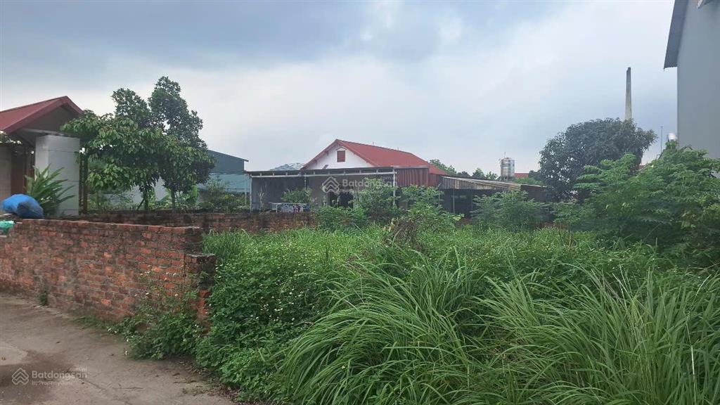 Bán đất đẹp xã tân minh sóc sơn, hà nội đường ô tô tránh, giá chỉ 2.6 tỷ