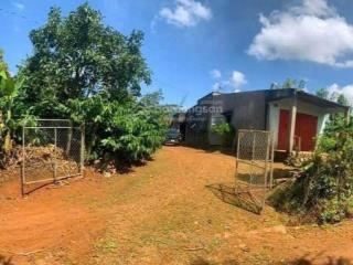 Bán gấp mảnh đất dt 1000m2 tại bảo lâm, có sẵn nhà c4 và vườn cafe đang cho thu giá 510tr không bớt