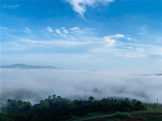 Siêu phẩm săn mây, 2568m2 thích hợp làm view, homestay, nghỉ dưỡng liền làng oa bảo lộc. 003747657
