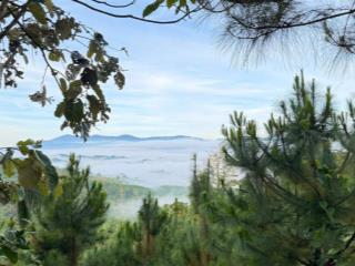 Chỉ 10 vị trí biệt lập dành cho những ai khát khao một ngôi nhà trên mây thật sự