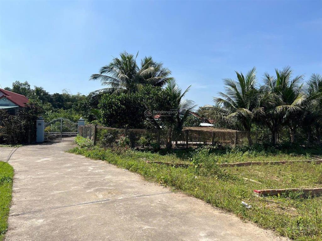Ngang 5,5m full thổ cư, gần đường tỉnh lộ 8, diên lâm, diên khánh chỉ 420 triệu. 0927 373 *** thọ