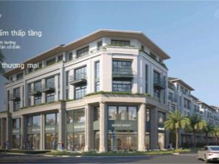 Căn góc đối diện hồ điều hoà dự án alluvia city xuân cầu holdings