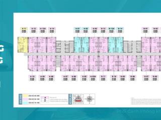 Quỹ căn chuyển nhượng 1 ngủ, 2 ngủ em sẵn giá chỉ từ 2 tỷ tại phenikaa hòa lạc