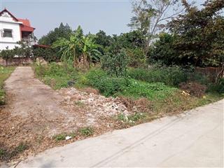 Bán đất tại thôn tuy lộc, xã trạch mỹ lộc, phúc thọ. ô tô đỗ cửa, gần đường 32. giá đầu tư.