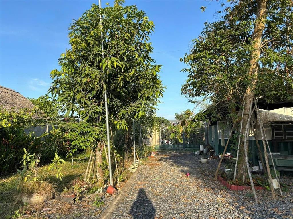 Bán nhà vườn nghỉ dưỡng ven sông đồng nai 1.607m2 (200m2 thổ cư) bình lợi, vĩnh cửu 6,7 tỷ