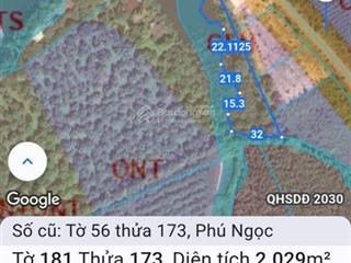 Bán vườn xoài 2,2 mẫu mặt tiền đường nhựa, gần quốc lộ 20, xã định quán, đồng nai