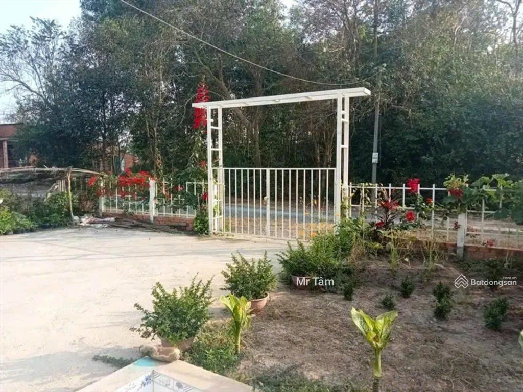 Lô đất tặng biệt thự mini mt đường trải đá xe tải, dt 1.036m2, có 955m2 thổ cư, xã thái mỹ