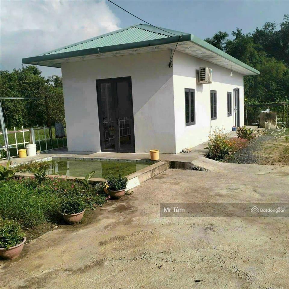 Lô đất tặng biệt thự mini mt đường trải đá xe tải, dt 1.036m2, có 955m2 thổ cư, xã thái mỹ