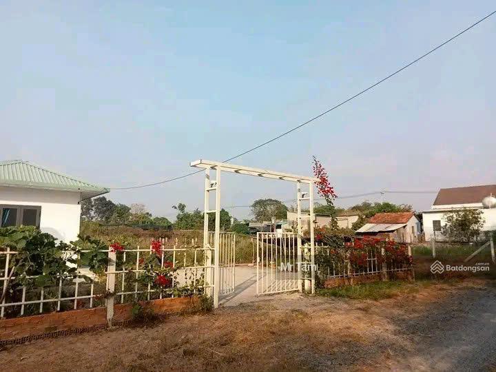 Lô đất tặng biệt thự mini mt đường trải đá xe tải, dt 1.036m2, có 955m2 thổ cư, xã thái mỹ