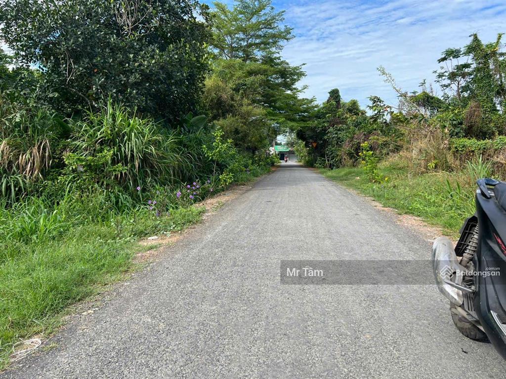 Bán lô đất mt đường nhựa đặng thị giọt, dt 1.099m2, full thổ cư, xã củ chi