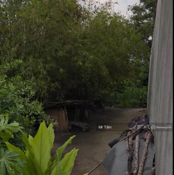 Bán lô đất đường nhựa, 1 sẹc đỗ đăng tuyển, diện tích 116m2, full thổ cư, xã an nhơn tây