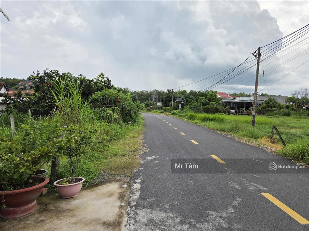 Bán lô đất đường nhựa, 1 sẹc đỗ đăng tuyển, diện tích 116m2, full thổ cư, xã an nhơn tây