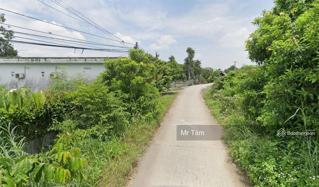 Bán đất củ chi, bán lô đất 1 sẹc đường cây trắc, tổng 140m2 full thổ cư, xã phú hòa đông.