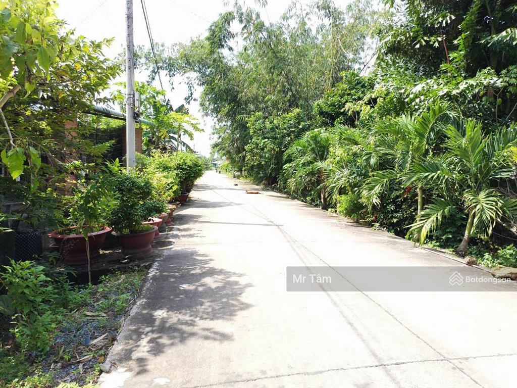Bán lô đất mặt tiền đường nguyễn thị he, diện tích 281m2, 36m2 thổ cư, xã thái mỹ (mới).