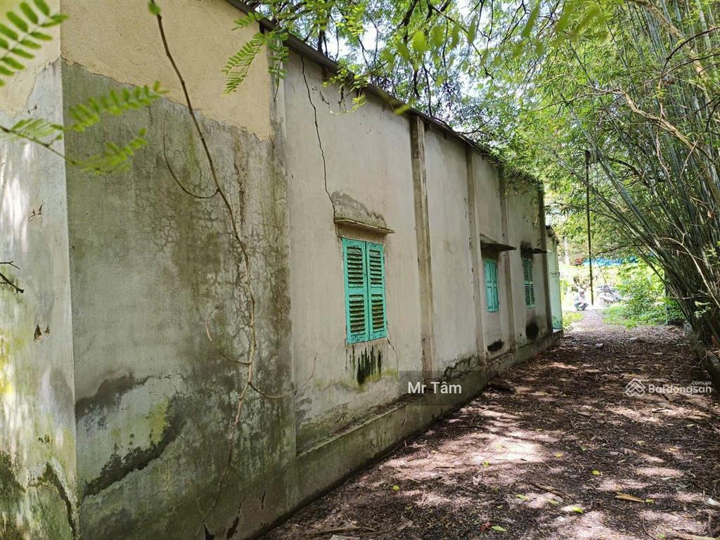 Bán lô đất mặt tiền đường nguyễn thị he, diện tích 281m2, 36m2 thổ cư, xã thái mỹ (mới).