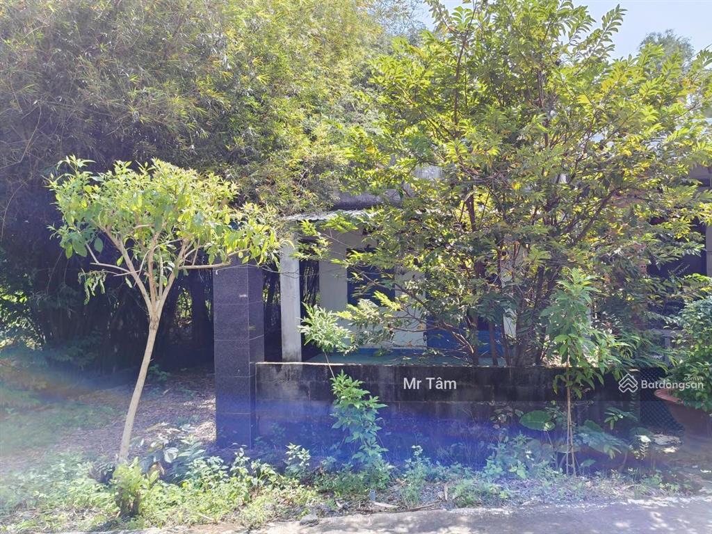 Bán lô đất mặt tiền đường nguyễn thị he, diện tích 281m2, 36m2 thổ cư, xã thái mỹ (mới).